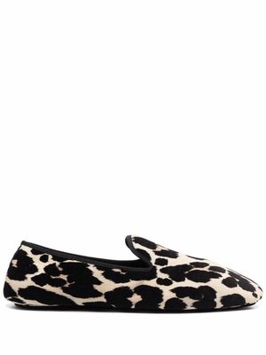 Roberto Cavalli leopard pattern slippers - Black