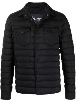 Herno collared padded jacket - Black