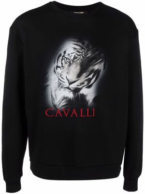 Roberto Cavalli tiger-print sweatshirt - Black