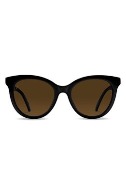 Vincero Demi 53mm Polarized Round Sunglasses in Jet Black Brown