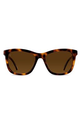 Vincero Emery 56mm Polarized Round Sunglasses in Rye Tortoise Brown