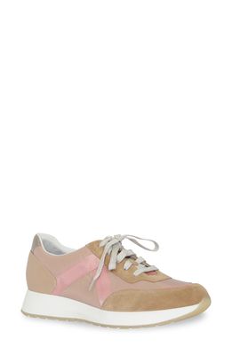 Munro Piper Sneaker in Dusty Rose/Camel/Pink Combo