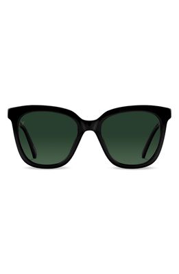 Vincero Ellison 54mm Polarized Round Sunglasses in Jet Black Green