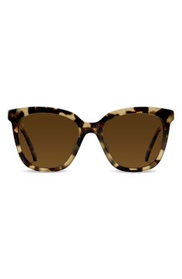 Vincero Ellison 54mm Polarized Round Sunglasses in Havana Brown