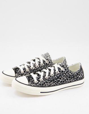 Converse Chuck 70 Ox Snow Leopard print suede sneakers in white-Multi