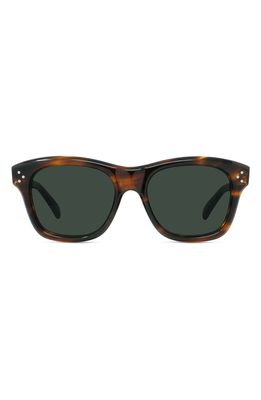 CELINE 53mm Rectangle Sunglasses in Havana/Other /Green
