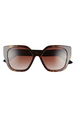 Prada 52mm Butterfly Polarized Sunglasses in Havana/Brown Gradient