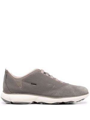 Geox Nebula low top sneakers - Grey