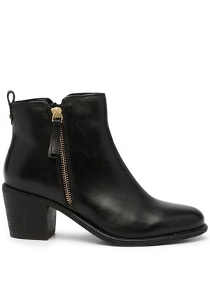Carvela Secil ankle boots - Black
