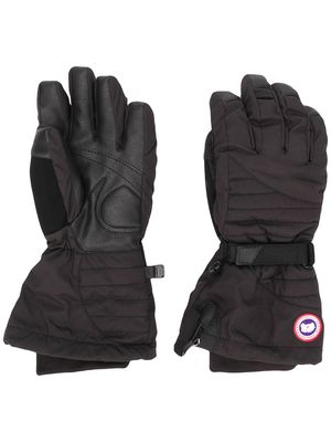 Canada Goose Artic down gloves - Black