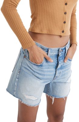 Madewell Women's Relaxed Ripped Mid Length Denim Shorts in Steenwick