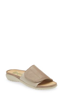 Naot Ipo Slide Sandal in Stone Leather/Beige Lizard