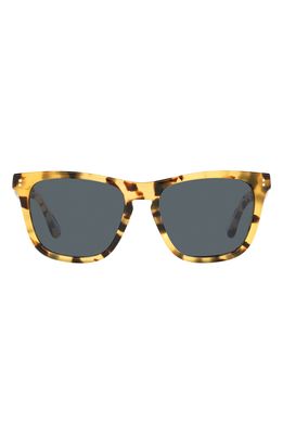 Oliver Peoples Lynes 55mm Pillow Sunglasses in Yellow Tortoise