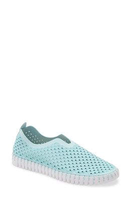 Ilse Jacobsen Tulip 139 Perforated Slip-On Sneaker in Sapphire Fabric