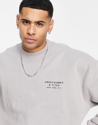 Abercrombie & Fitch shadow logo raised neck crewneck sweatshirt in brown