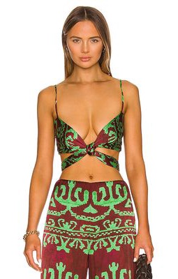 Alexis Swaro Top in Brown