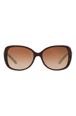 Tiffany & Co. 55mm Gradient Butterfly Sunglasses in Havana/Blue/Brown Gradient