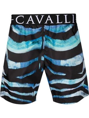 Roberto Cavalli logo-waistband tiger-print shorts - Blue