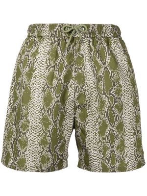 YMC snakeskin-print deck shorts - Green