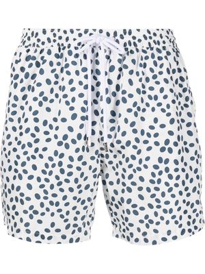 Barba all-over print swim shorts - White