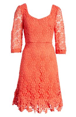 TAHARI ASL Lace Fit & Flare Minidress in Coral