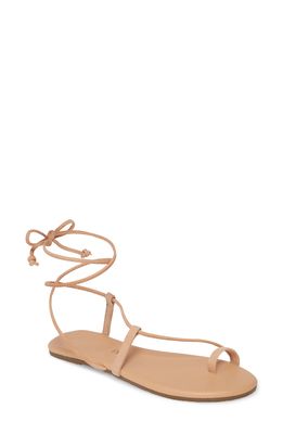TKEES Jo Lace-Up Sandal in Purdy