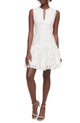 Anne Barge Then I Met You Lace Minidress in Silk White