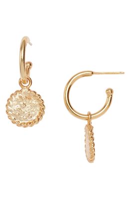 Crisobela Jewelry Moneda Mini Hoop Earrings in Gold