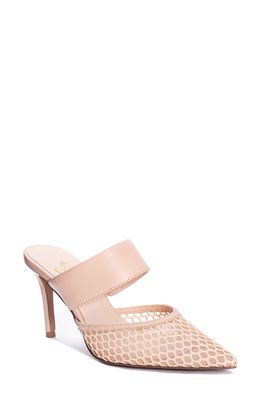 42 Gold Ronnie Pointed Toe Mule in Nude