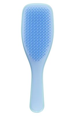 Tangle Teezer Ultimate Detangler Hairbrush in Blue/turquoise