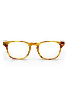 eyebobs Old Sport 48mm Blue Light Glasses in Blonde Tortoise Shiny /Clear