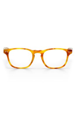 eyebobs Old Sport 48mm Rectangular Reading Glasses in Blonde Tortoise/Clear
