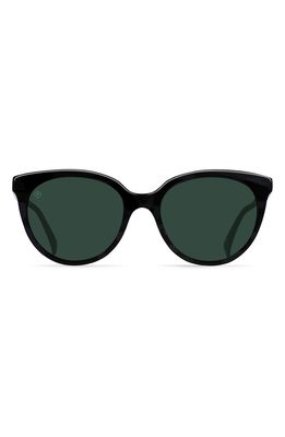 RAEN Lily 54mm Cateye Sunglasses in Crystal Black /Green Polar