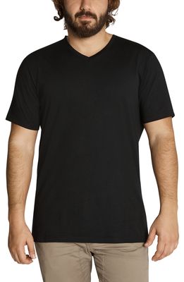 Johnny Bigg Essential V-Neck T-Shirt in Black