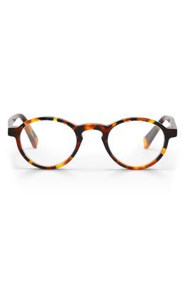 eyebobs Board Stiff 44mm Round Reading Glasses in Tokyo Tortoise/Clear