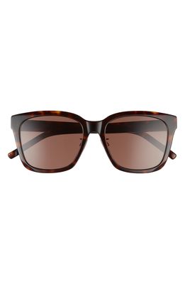 Givenchy 55mm Square Sunglasses in Dark Havana /Brown