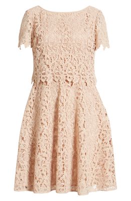 Shani Popover Lace Fit & Flare Dress in Champagne