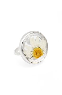 Dauphinette Baby Button Daisy Ring