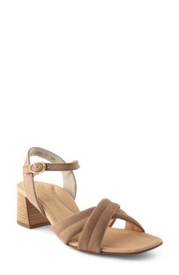 Paul Green Lexi Sandal in Champagne Suede