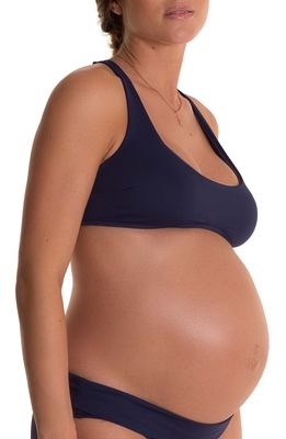 Pez D'Or Olivia Maternity Bikini Top in Navy