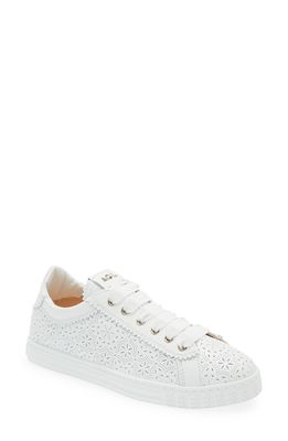 AGL Sade Perforated Sneaker in White