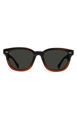 RAEN Myles 50mm Square Sunglasses in Sierra /Smoke