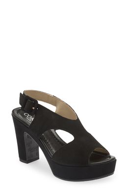 Cordani Taylin Platform Sandal in Black Suede