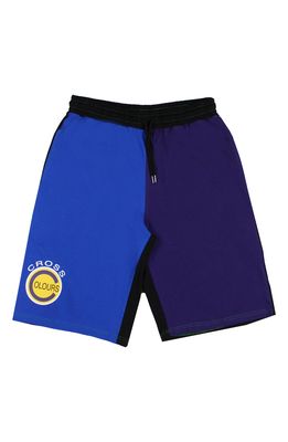 Cross Colours Colorblock Basketball Shorts in Purple/Blue