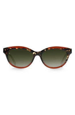 RAEN Blondie 54mm Polarized Oval Cat Eye Sunglasses in Cherry Cola/Btl Green