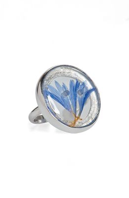 Dauphinette Baby Button Lobelia Ring in Blue
