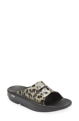 Oofos OOahh Luxe Slide Sandal in Black Cheetah