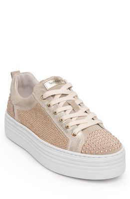 NeroGiardini Studded Skater Sneaker in Ivory