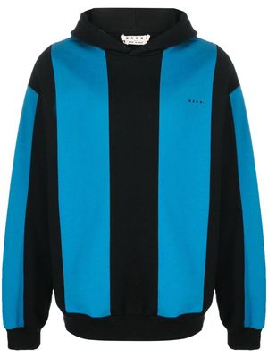 Marni logo-embroidered flower cotton hoodie - Blue