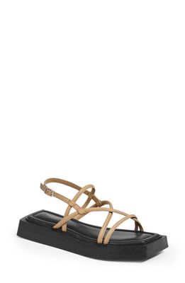 Vagabond Shoemakers Evy Strappy Sandal in Lark